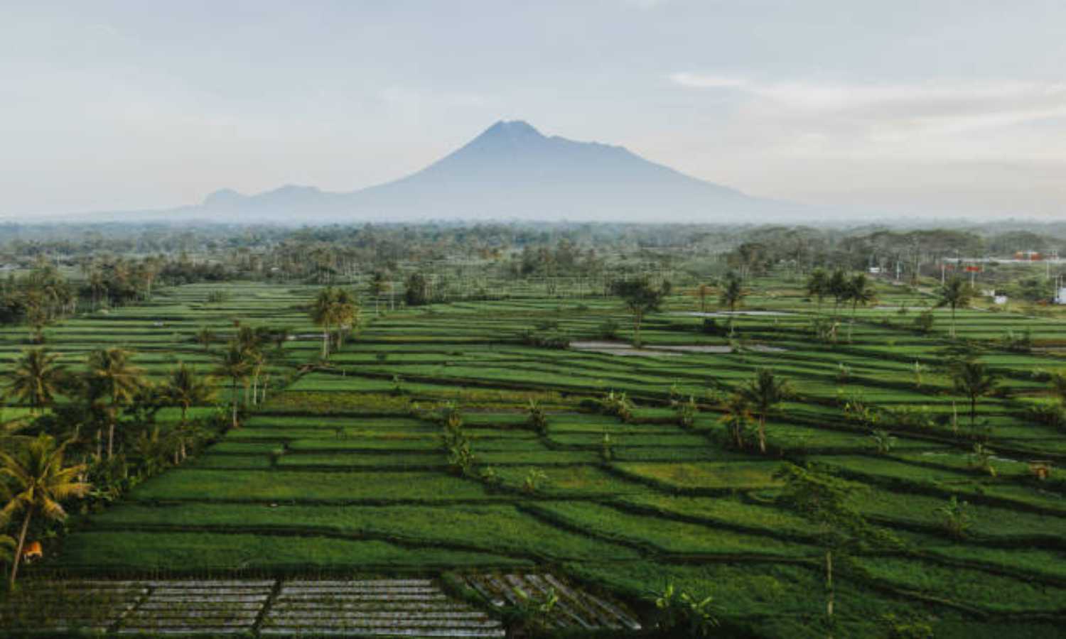 Daftar Nama Dataran Rendah Di Pulau Bali Putri Bali Rental