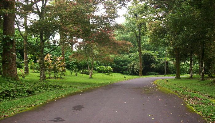 Kebun Raya Eka Karya