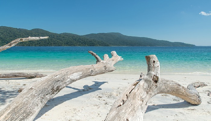 Pantai Kayu Putih