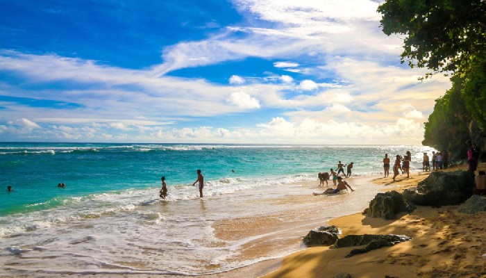 Pantai Green Bowl