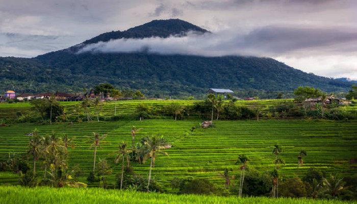 Gunung Batukaru